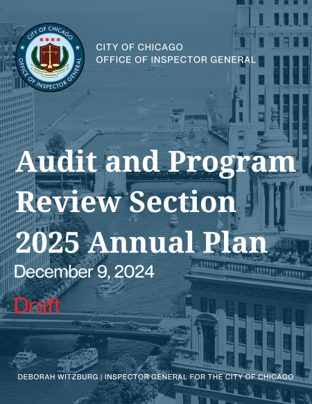 Draft OIG Audit and Program Review 2025 Annual Plan - publication cover